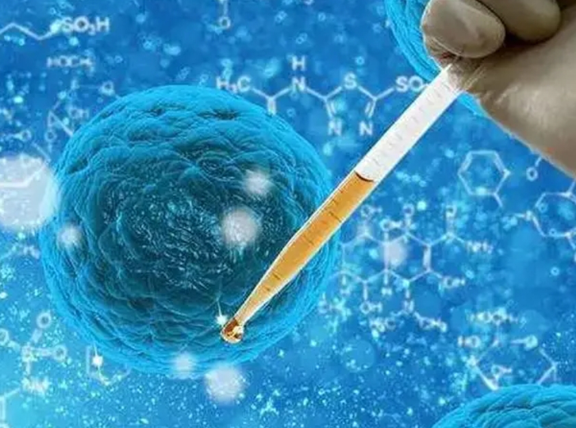 2025武汉试管婴儿医院排名汇总，不知道成功率和费用可别擅选