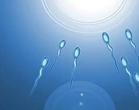 2025厦门试管婴儿经验帖，真实费用+最全医院+成功率排行
