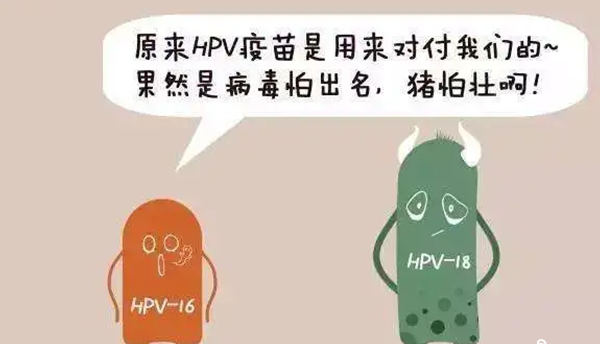 不孕不育防治350问（不孕不育治疗新策略华医网）