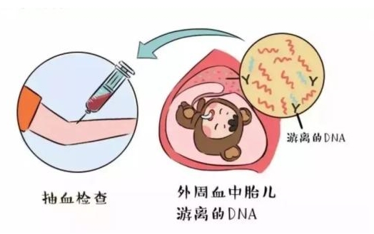 杭州三代试管婴儿价格杭州三代试管婴儿费用详情分享
