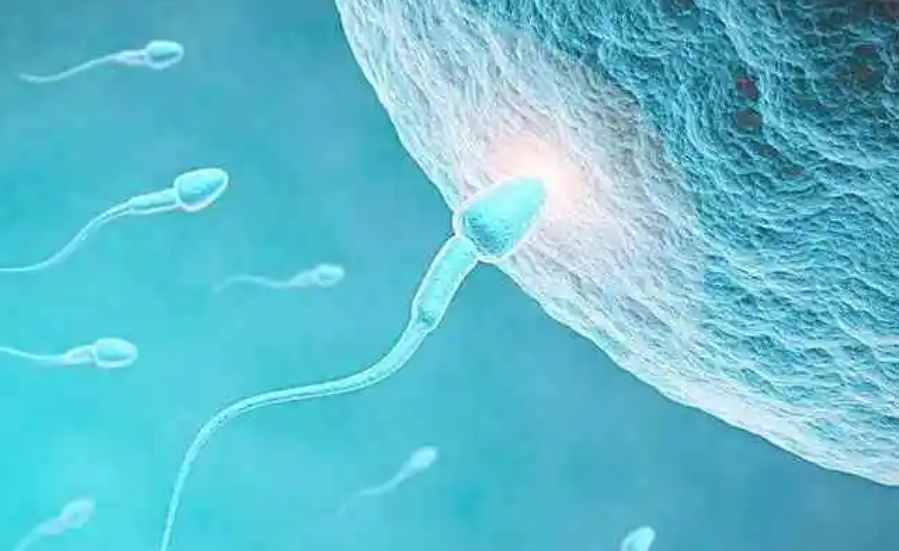 女性绝经还怎么做试管婴儿来生孩子？