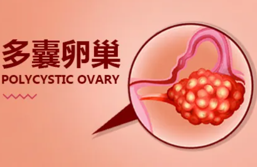 北仑不孕不育哪个医院好（宁波北仑看妇科检查哪家医院好）