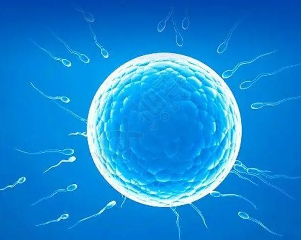 2025金华试管婴儿医院排名，附试管费用与成功率一览
