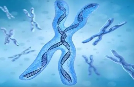 昆明试管婴儿移植前做哪些检查？试管婴儿在昆明哪家医院做得好？