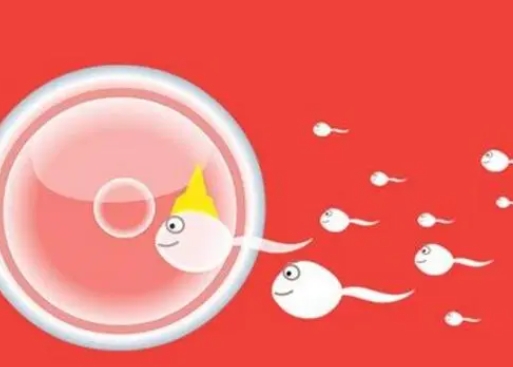 看不孕不育k重庆送子鸟（在送子鸟医院看一般不孕不育要花多少钱）