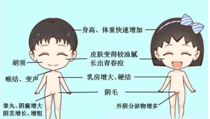 浙江试管医院推荐|温州医学院附属第二医院