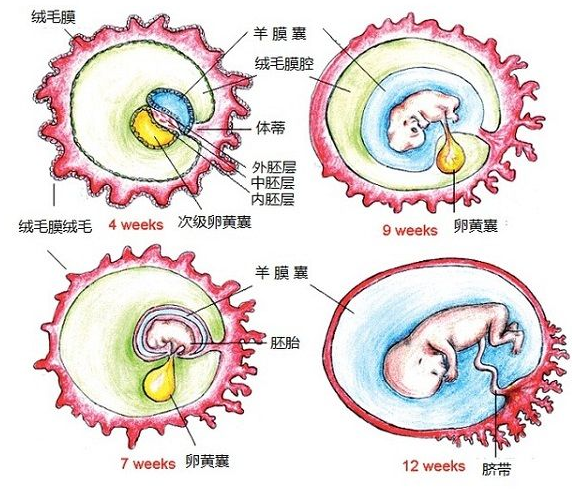 昌平哪里有不孕不育医院（昌平妇科医院哪家比较好的医院）