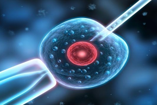2025武汉试管怀孕10家医院名单介绍！附各院相关技术一览