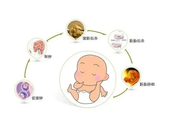 不孕不育的经验（不孕不育需要怎么调理）