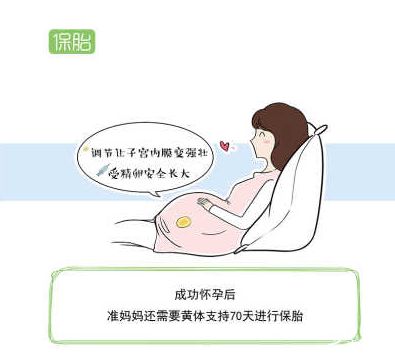 2025北京名医在线和试管婴儿价格表(附具体项目收费标准)
