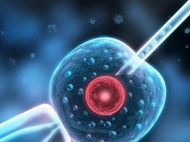 2025人流后多久能做试管婴儿 注意事项有哪些
