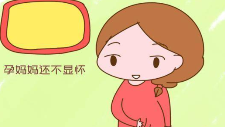 QQ截图20240814114913.png
