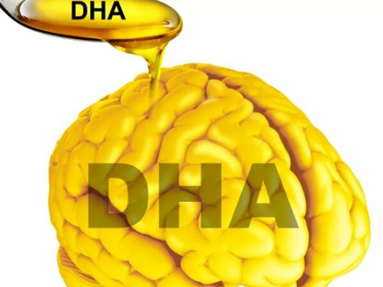 怀孕期间需要补dha吗？